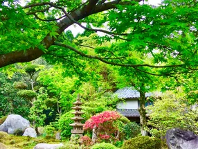 marin’s garden 5